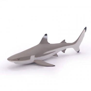 Requin à pointes noires, figurine PAPO 56034
