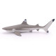 Requin à pointes noires, figurine PAPO 56034