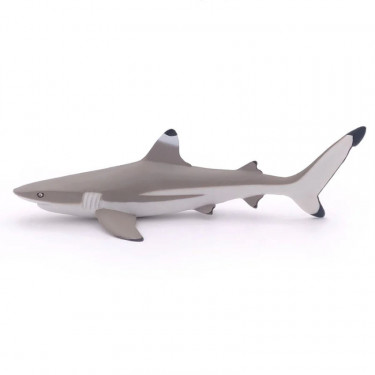 Requin à pointes noires, figurine PAPO 56034
