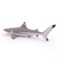 Requin à pointes noires, figurine PAPO 56034