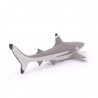 Requin à pointes noires, figurine PAPO 56034