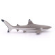 Requin à pointes noires, figurine PAPO 56034