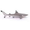 Requin à pointes noires, figurine PAPO 56034
