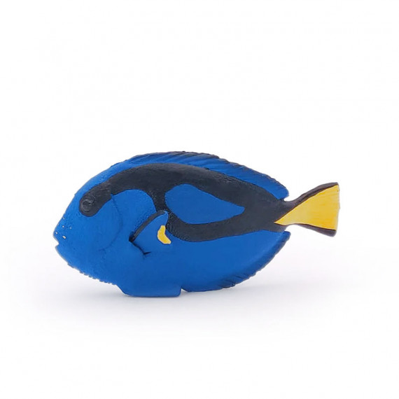 Poisson-chirurgien, figurine PAPO 56024