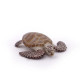 Tortue caouanne, figurine PAPO 56005