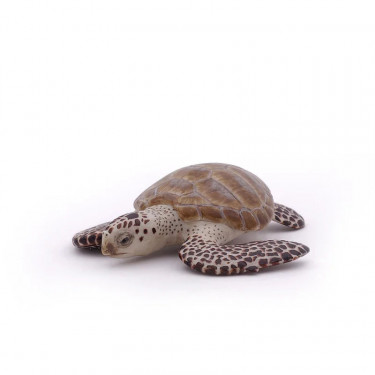 Tortue caouanne, figurine PAPO 56005
