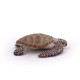 Tortue caouanne, figurine PAPO 56005