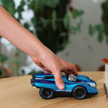 Voiture Playforever Zemonsta Hans