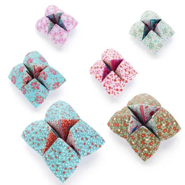 Initiation à l'Origami Cocottes à gages, DJECO 8773