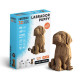 Chiot Labrador - Puzzle sculpture 3D en carton - Cartonic