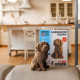 Chiot Labrador - Puzzle sculpture 3D en carton - Cartonic