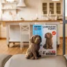 Chiot Labrador - Puzzle sculpture 3D en carton - Cartonic