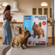 Chiot Bouledogue - Puzzle sculpture 3D en carton - Cartonic