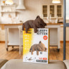 Chaton dormant - Puzzle sculpture 3D en carton - Cartonic