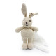 Doudou Lapin en coton bio - The veggy toys