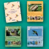 Les animaux rigolos - Jeu de 7 familles OBSERVE Edition