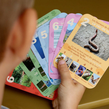 Les animaux rigolos - Jeu de 7 familles OBSERVE Edition