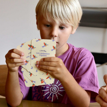 Les animaux rigolos - Jeu de 7 familles OBSERVE Edition