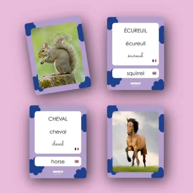 Imagier Animaux - Poils, plumes et pattes - 40 Cartes Flash OBSERVE Edition