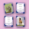Imagier Animaux - Poils, plumes et pattes - 40 Cartes Flash OBSERVE Edition