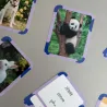 Imagier Animaux - Poils, plumes et pattes - 40 Cartes Flash OBSERVE Edition