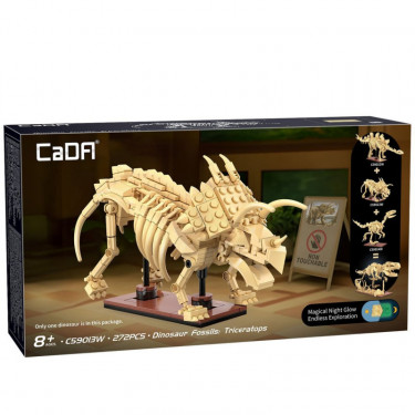 Squelette Tricératops CADA