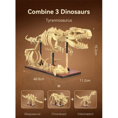 Squelette tyrannosaure - CADA