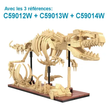  	Squelette tyrannosaure - CADA
