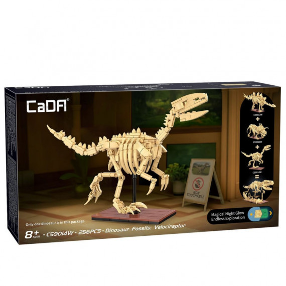 Squelette Vélociraptor - CADA