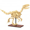 Squelette Vélociraptor - CADA - 256 pièces