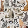 Puzzle 'Races de chats populaires' 200 pcs CROCODILE CREEK