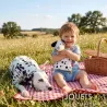 Petit enfant souriant tenant un dalmatien en peluche, assis sur une couverture à damier rouge avec un chien Dalmatien réel allongé près de lui. Été champêtre et panier en osier à côté. Doudou chien dalmatien SIGIKID 43594 mentionné en contexte.