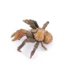 Crabe de cocotier, figurine PAPO 56020
