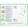 Peinture à doigts magique pour les petites formes Djeco 8984 : emballage montrant des formes animaux à colorier avec outils et fioles de peinture pastel.