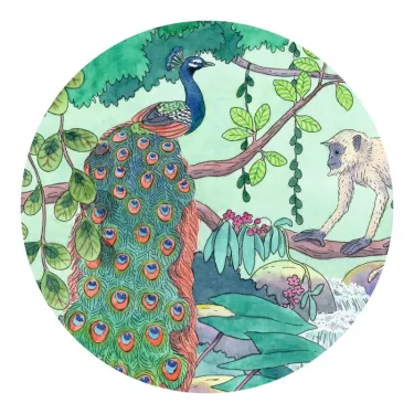 Jungle indienne : silhouette de paon coloré sur branche dans une forêt tropicale, avec un singe dans le fond. puzzle 54 pièces.