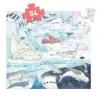 Puzzle 54 pièces Douceur polaire, silhouette DJECO 7294 représentant des animaux marins et polaires dans un paysage glacé.