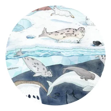 Puzzle silhouette DJECO 7294 Douceur polaire, 54 pièces: animaux marins et glaciaires dans un paysage circulaire.