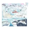 Puzzles 54 pièces silhouette Douceur polaire DJECO 7294: scène polaire avec animaux marins et oiseaux sur glace et iceberg.