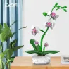 Orchidée CADA 237 pièces, set de construction florale anti-stress: orchidée verte en fleurs roses sur socle blanc, sur une table