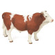 Taureau simmental PAPO 51142