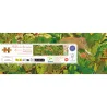 Puzzle Djeco 1000 pcs "Cachés dans la nature" avec jungle dense et animaux, décor d’un paysage verdoyant.