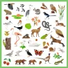 Autocollants “Faune” Djeco 9285: variété d’animaux et d’éléments nature, poissons, oiseaux, mammifères et plantes colorés.