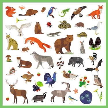 Stickers "Faune" Djeco 9285 : assortiment coloré d’animaux variés (renard, ours, écureuil, cerf, loup, renne, tortue, papillon, oiseau, renard, grenouille, licorne, etc.) sur fond blanc avec cadre vert.