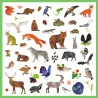 Stickers "Faune" Djeco 9285 : assortiment coloré d’animaux variés (renard, ours, écureuil, cerf, loup, renne, tortue, papillon, oiseau, renard, grenouille, licorne, etc.) sur fond blanc avec cadre vert.