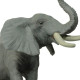 Eléphant barrissant PAPO 50041
