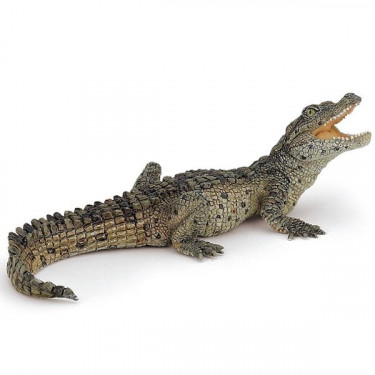 Bébé crocodile PAPO 50137