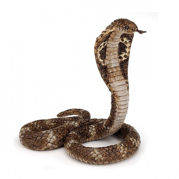 Cobra royal PAPO 50164
