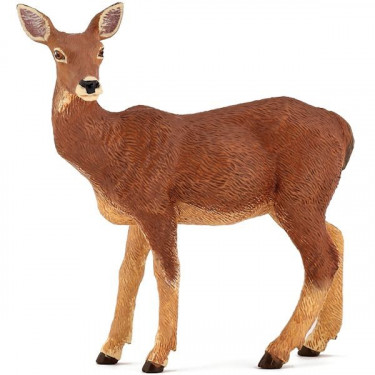 Biche PAPO 53014