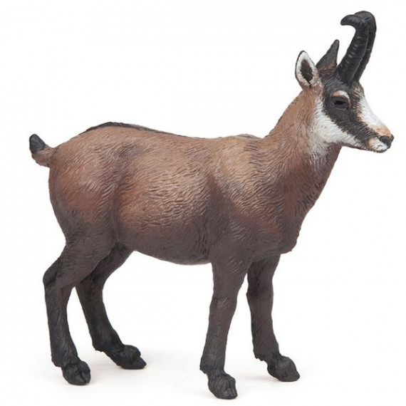 Chamois PAPO 53017