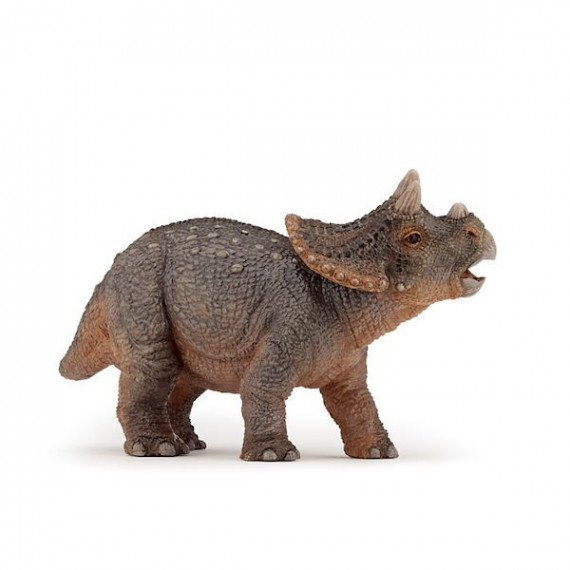 Jeune tricératops, dinosaure PAPO 55036